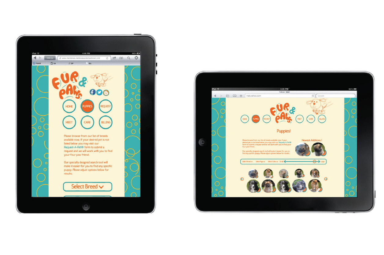 Image of Fur and Paws Project